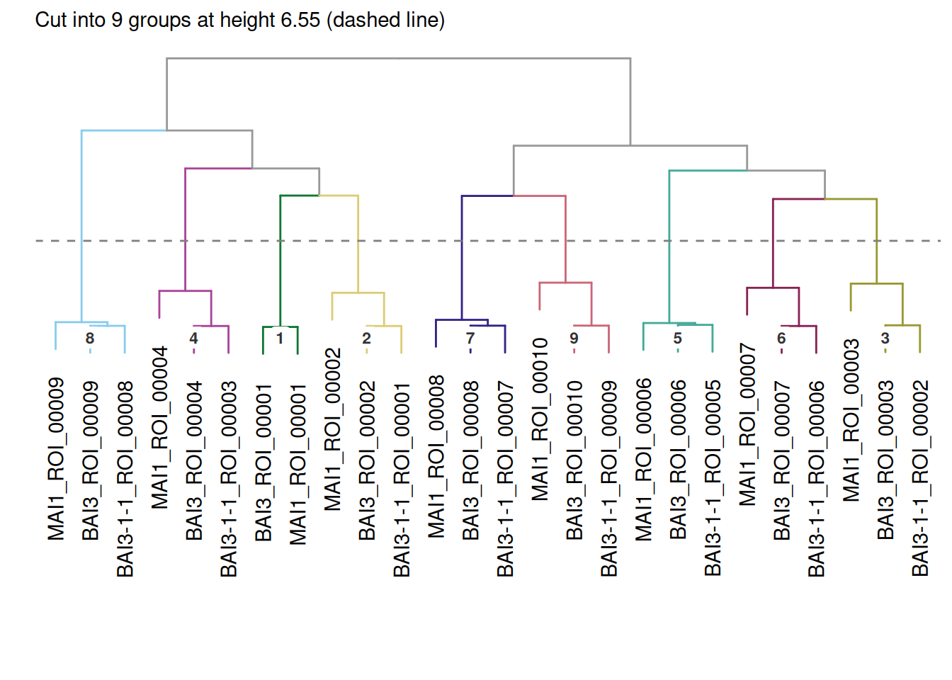 Hierarchical clustering of 26 TALE arrays from three related Xanthomonas oryzae strains into nine groups, eight of them with one member per strain